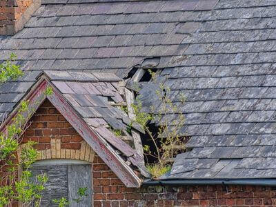 Professional basement flood restoration services services in Mount Vernon - water damage restoration service